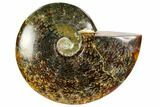 Polished, Agatized Ammonite (Cleoniceras) - Madagascar #104859-1